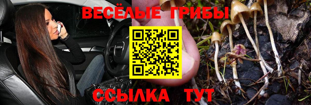 Псилоцибиновые грибы GOLDEN TEACHER  Псилоцибиновые грибы мухоморы  Сибай  Вход с VPN 