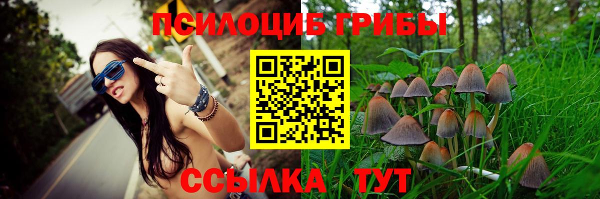 Псилоцибиновые грибы Cubensis Сибай